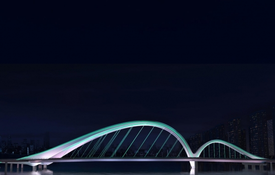 光影重塑城市：亮化工程背后的美学革命与生态智慧